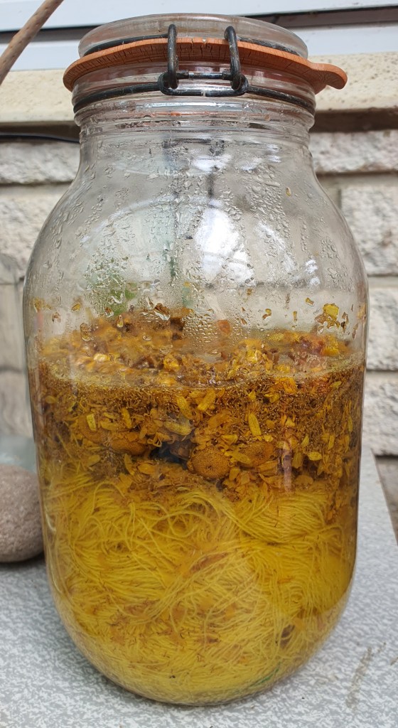 A jar containing dyers chamomile flowers, yarn and water.