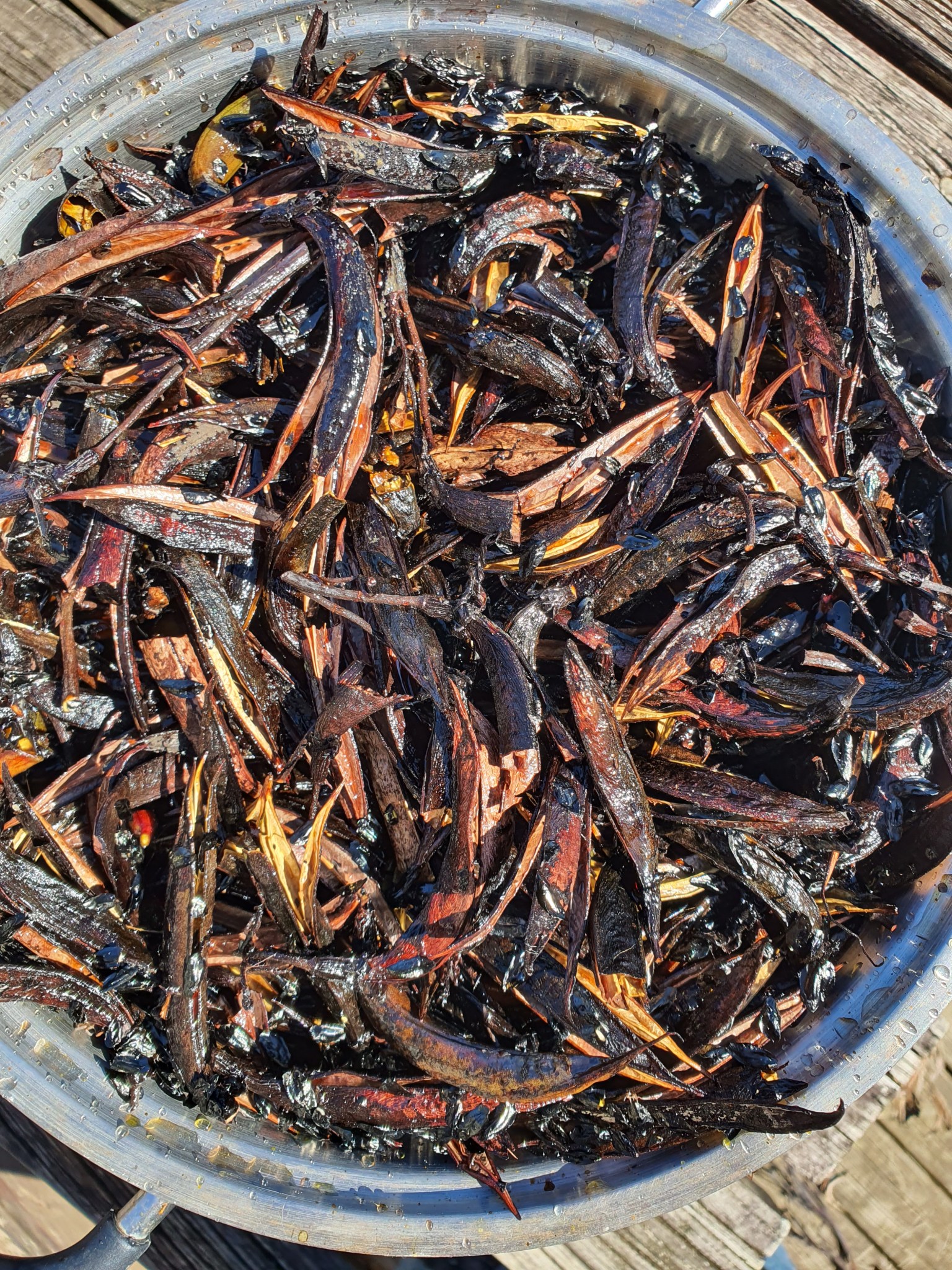 March 2024 – Kate Alberta Weaving